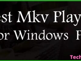 Best Mkv Player for Windows PC