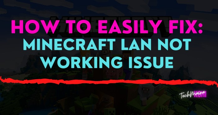 How To Easily Fix_ Minecraft LAN Not Working Issue