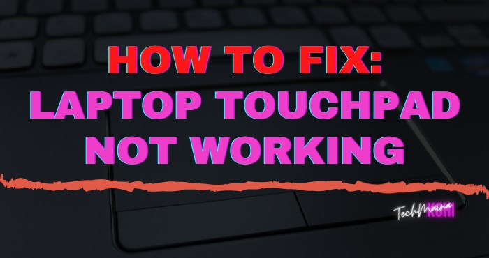 How To Fix_ Laptop Touchpad Not Working In Windows