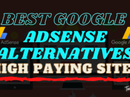 Best Google Adsense Alternatives