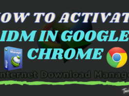 How To Activate IDM In Google Chrome