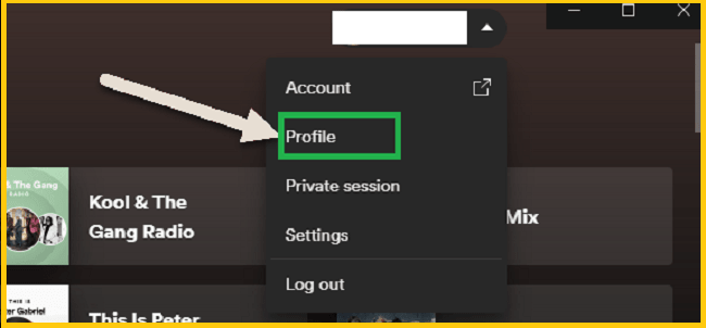 How to Change Spotify Username on pc