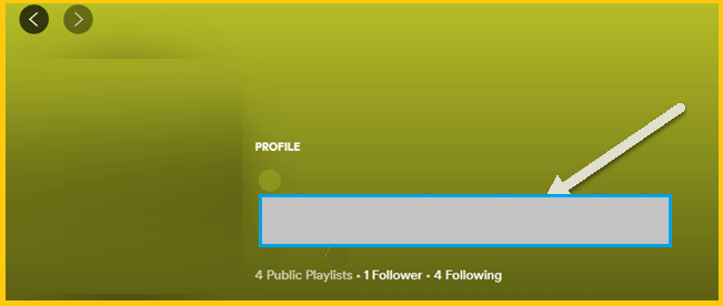 How to Change Spotify Username on pc