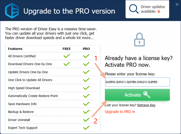 easy logger pro license key