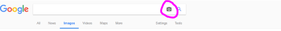 Sign in to Google and click the camera icon