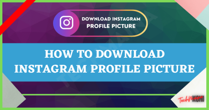 How To Download Instagram Profile Picture 2024 TechMaina   How To Download Instagram Profile Picture 696x368 