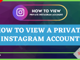 How to View a Private Instagram Account