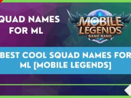 Best Cool Squad Names for ML [Mobile Legends]