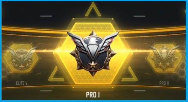 Rank – Pro, the Rank Most Gamers Have