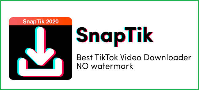 Snaptik - Download Tiktok Video Without Watermark