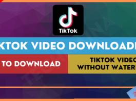 Tiktok Video Downloader Download Tiktok Videos Without Watermark