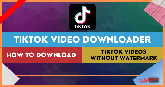 Tiktok Video Downloader Download Tiktok Videos Without Watermark