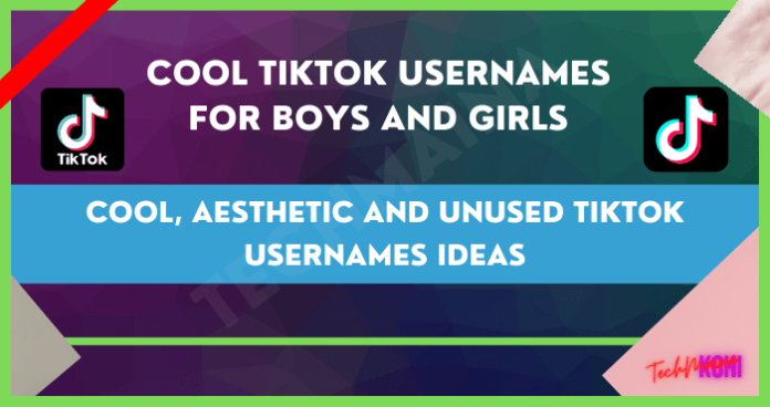 2500+ Cool, Aesthetic And Unused TikTok Usernames Ideas [2025] » TechMaina