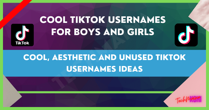 Cool, Aesthetic and Unused TikTok Usernames Ideas