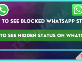 How to See Hidden Status on Whatsapp [Blocked WA Status]
