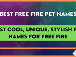Best Cool, Unique, Stylish Pet Names for Free Fire