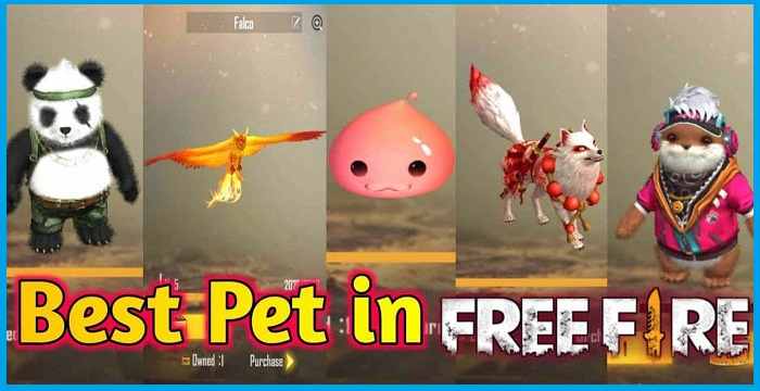 How to Make a Cool and Unique Free Fire Pet Name