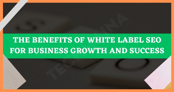 The Benefits of White Label SEO for Business Growth and Success